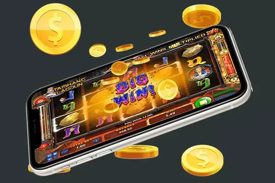 sc666 cá cược thể thao